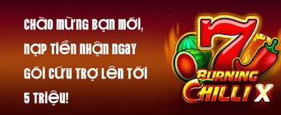 Giới Thiệu Bạn Bè - Nhận Hoa Hồng Khủng promotion
